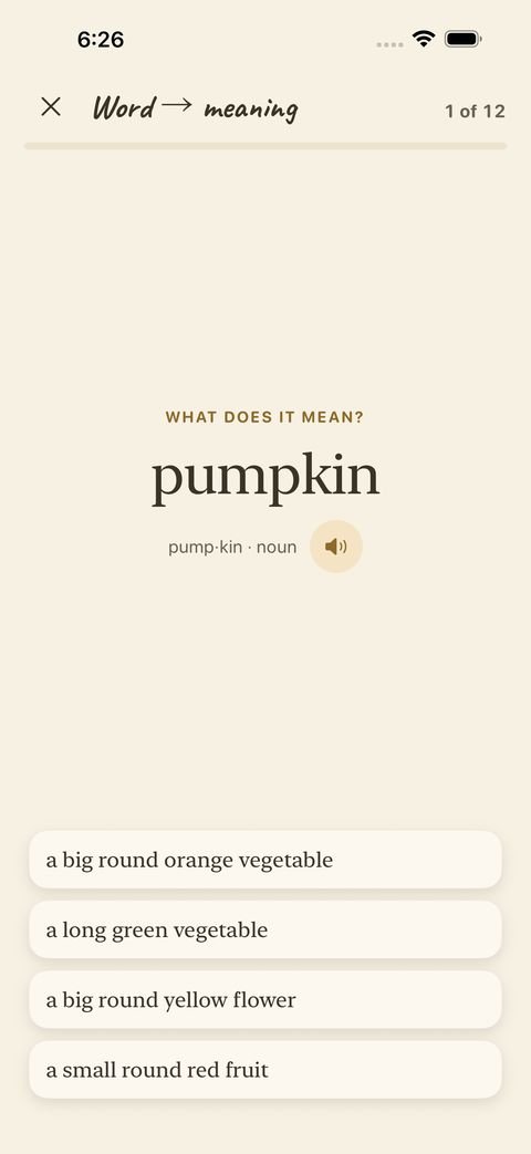 Word → meaning: read the word, pick the meaning that fits.